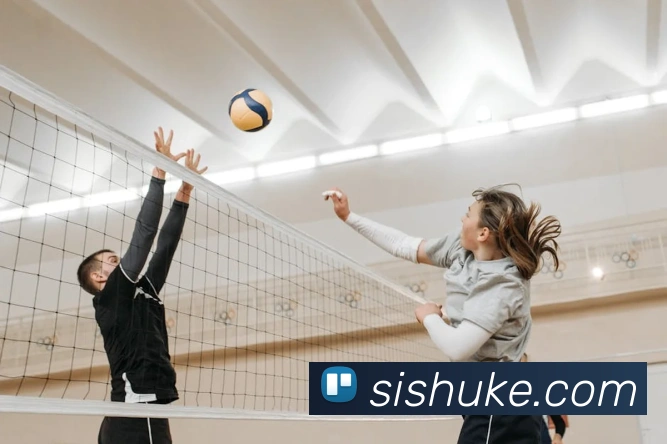 App Interface Preview